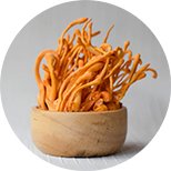 Cordyceps čínsky