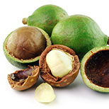 makadamie